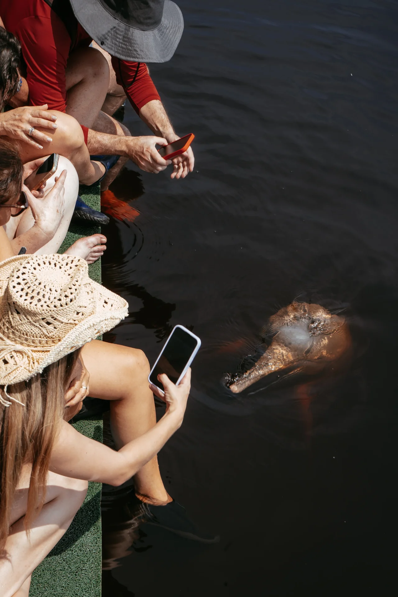 Torre de observação