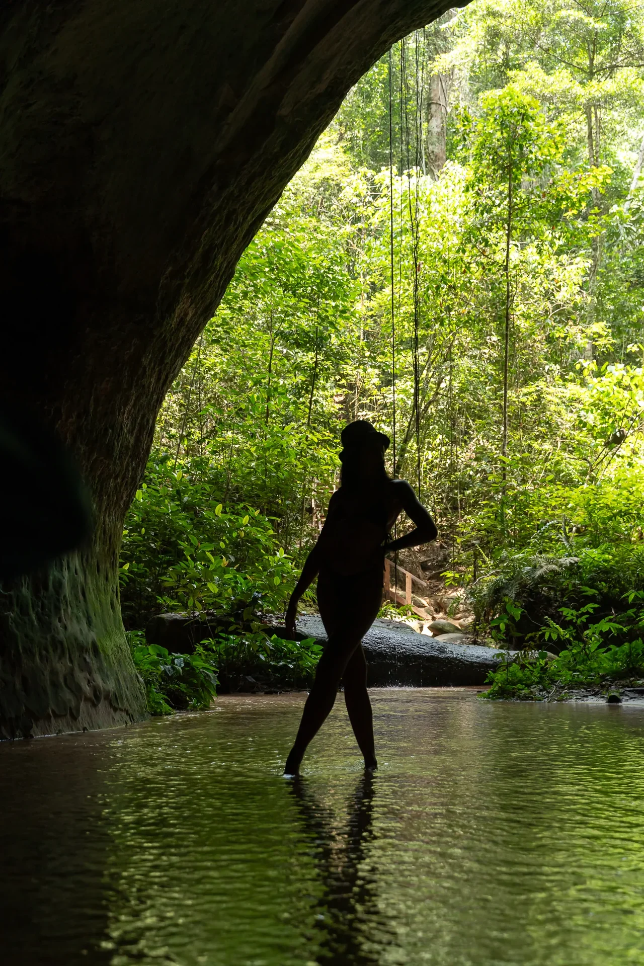 Amazônia vista aérea